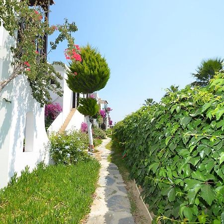 גומבט Salinas Beach Hotel Bodrum-Boutique Concept מראה חיצוני תמונה